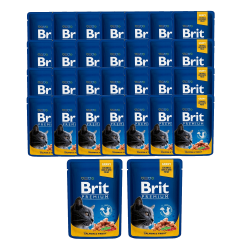 BRIT PREMIUM CAT Łosoś i Pstrąg w sosie 30x100g 30 saszetek